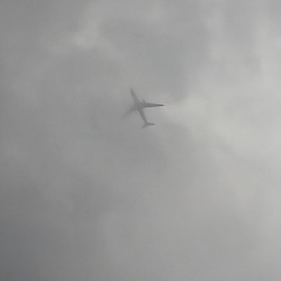 TC-JNL Airbus A330-300 Turkish Airlines, IST → DUS, 16 Sept 2026, photographed by WingStorm4
