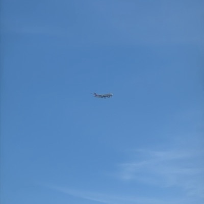 TC-LGF Airbus A350-900 Turkish Airlines, IST → LHR, 8 Oct 2026, photographed by TC