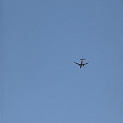 N817NN Boeing 737-800 American Airlines, CLT → EWR, 5 Oct 2026, photographed by AceHawk22