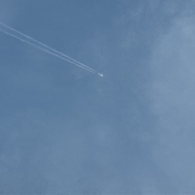 TC-LPS Airbus A321neo Turkish Airlines, IST → MAN, 29 Sept 2026, photographed by SALT