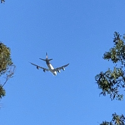 N621UP Boeing 747-8 UPS Airlines, HNL → SYD, 8 Oct 2026, photographed by Twiggles