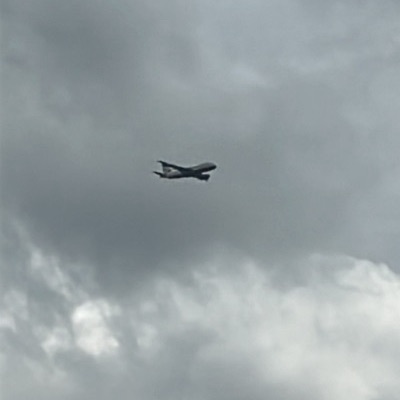 G-DBCE Airbus A319 British Airways, BCN → LHR, 27 Sept 2026, photographed by ItsJoshVibes