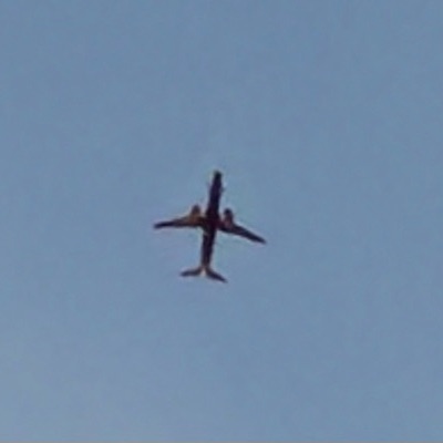 9H-QDQ Boeing 737-800 Ryanair, STN → SUF, 30 Sept 2026, photographed by SALT
