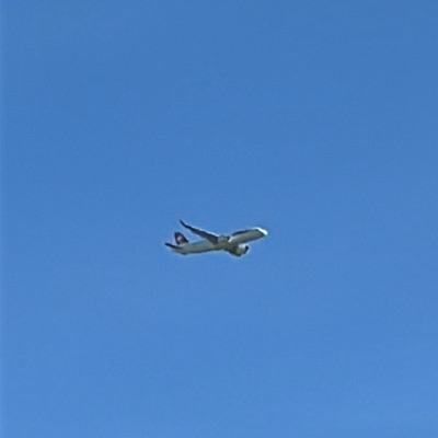 HB-JDD Airbus A320neo Swiss International Air Lines, ZRH → LHR, 5 Sept 2026, photographed by ItsJoshVibes