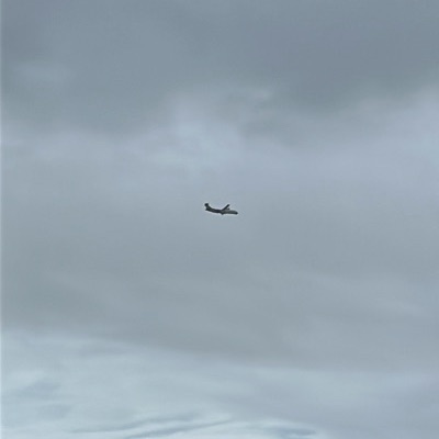 ZK-MVE ATR 72-600 Air New Zealand, NSN → AKL, 7 Sept 2026, photographed by Cheesydogg🤏🧀🐶