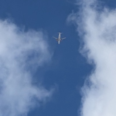 SE-ROR Airbus A320neo Scandinavian Airlines, CPH → ARN, 11 Sept 2026, photographed by August M