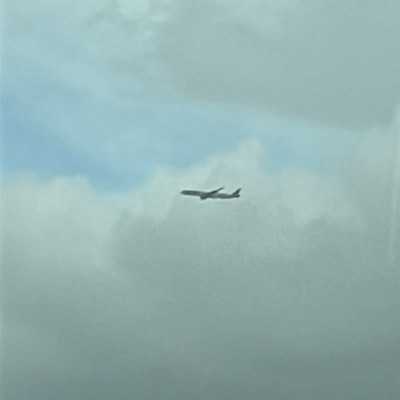 A7-ANI Airbus A350-1000 Qatar Airways, DOH → MIA, 19 Sept 2026, photographed by PilotEagle26
