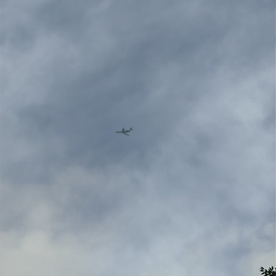 N1CC Gulfstream Aerospace Gulfstream 5 Executive Jet Management, 18 Oct 2026, photographed by DogFood