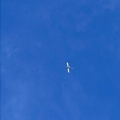 SU-GEI Boeing 737-800 EgyptAir, CAI → FCO, 12 Sept 2026, photographed by Lomaka300