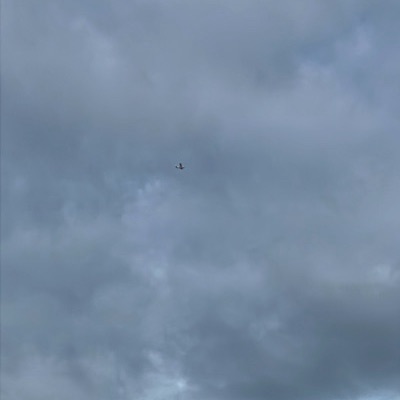 VH-BXK Gippsland GA-8 Airvan, JAD, 19 Oct 2026, photographed by Abbie_teresa121