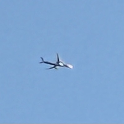 B-1297 Boeing 787-9 Dreamliner China Southern Airlines, CAN → LHR, 1 Oct 2026, photographed by SALT