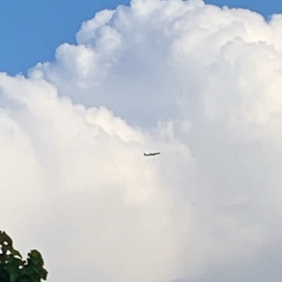 HA-LXP Airbus A321 Wizz Air, BBU → HAM, 11 Jun 2026, photographed by Timi