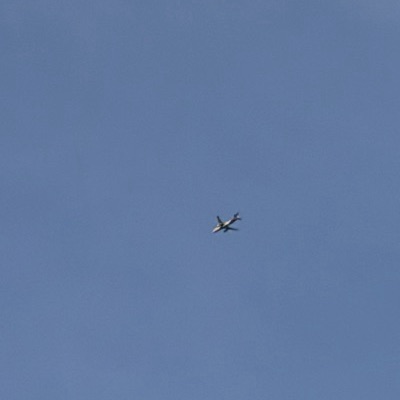 EI-SCA Airbus A320neo Scandinavian Airlines, NCE → ARN, 11 Sept 2026, photographed by August M