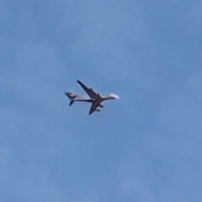 A6-EVO Airbus A380-800 Emirates, DXB → LHR, 4 Oct 2026, photographed by SALT