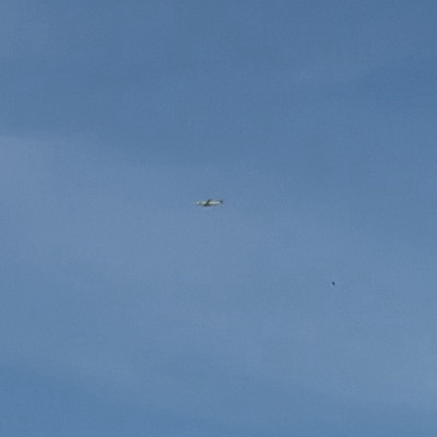 SP-LEA Embraer ERJ-190-400 LOT Polish Airlines, WAW → ARN, 11 Sept 2026, photographed by August M