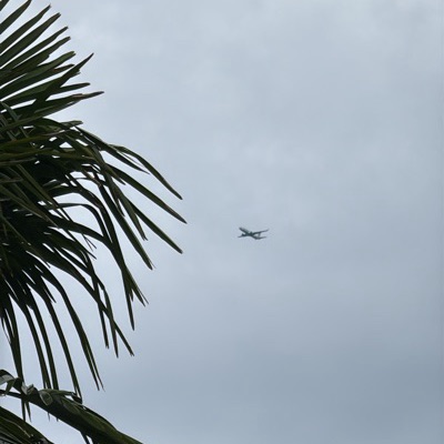 N901NN Boeing 737-800 American Airlines, CVG → CLT, 12 Sept 2026, photographed by Ron
