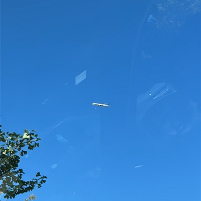 N14001 Boeing 787-10 Dreamliner United Airlines, BRU → ORD, 11 Oct 2026, photographed by Echo Ghost