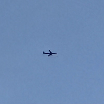 B-16736 Boeing 777-300ER EVA Air, BKK → LHR, 4 Oct 2026, photographed by SALT