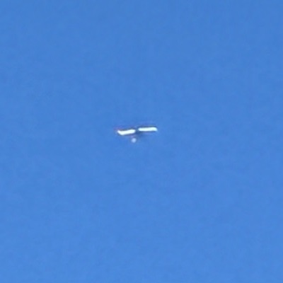 9H-QFE Boeing 737-800 Ryanair, STN → PDV, 5 Oct 2026, photographed by SALT