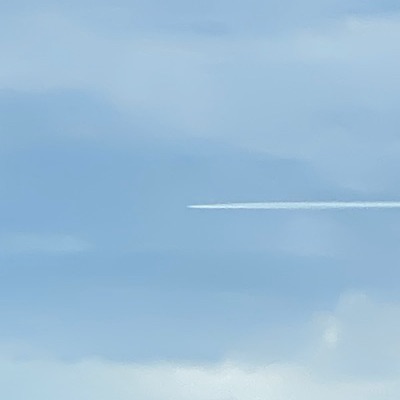 D-ATUZ Boeing 737-800 TUI fly Deutschland, PMI → DUS, 3 Oct 2026, photographed by Quiet Contrail