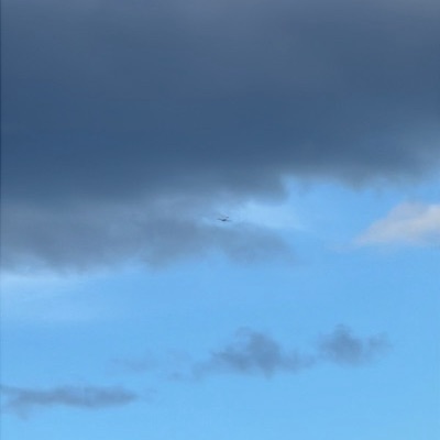 LN-FTS Diamond DA-40 Diamond Star, QMJ, 18 Jun 2026, photographed by WingFalcon21