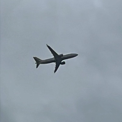 N323VK Boeing 737 MAX 8 American Airlines, MIA → UIO, 17 Sept 2026, photographed by Miamiplanespotter