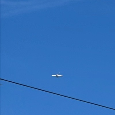 G-EUUX Airbus A320 British Airways, LGW → AGP, 26 Sept 2026, photographed by F-16 sharp eye