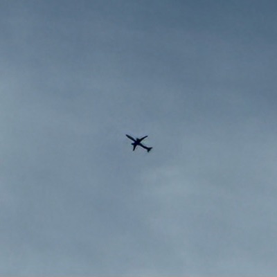 G-HLYI Airbus A321neo jet2.com, STN → RHO, 8 Oct 2026, photographed by SALT