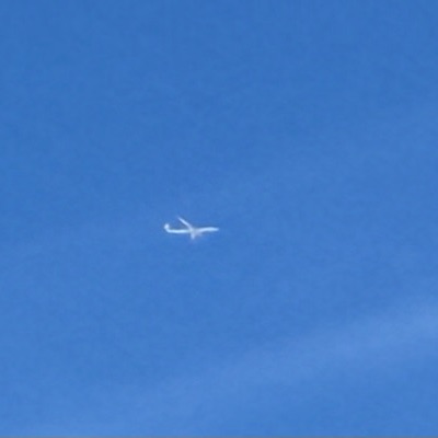 B-18915 Airbus A350-900 China Airlines, TPE → LHR, 2 Oct 2026, photographed by SALT