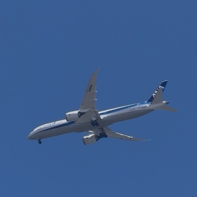 JA938A Boeing 787-9 Dreamliner All Nippon Airways, PAE → HNL, 18 Jun 2026, photographed by Ilikeplanes