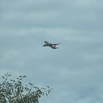 OE-LSP Airbus A320neo easyJet Europe, AMS → AGP, 6 Sept 2026, photographed by dhyan