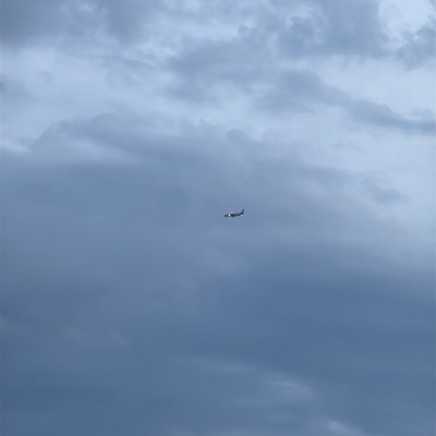N306NY Boeing 737-800 American Airlines, YYC → CLT, 11 Sept 2026, photographed by Ron