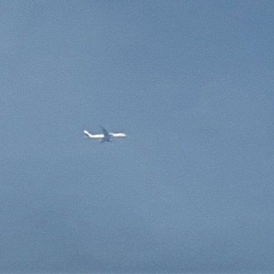 B-223A Boeing 777-200LR China Cargo Airlines, STN → PVG, 29 Sept 2026, photographed by SALT