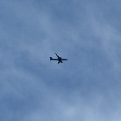 G-VMAP Boeing 787-9 Dreamliner Virgin Atlantic, ICN → LHR, 4 Oct 2026, photographed by SALT