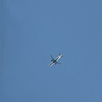 N538FX Bombardier Challenger 300 Bombardier Business Jet Solutions, ACK → PWK, 13 Jun 2026, photographed by WingPhoenix23