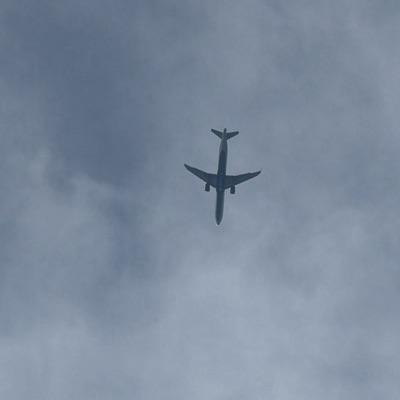N308DN Airbus A321 Delta Air Lines, MSP → SEA, 16 Jun 2026, photographed by DilbaagMaan
