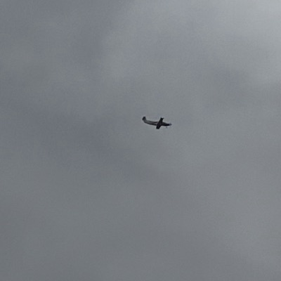 HB-FAM Pilatus PC-12 HBF, RKE → BMA, 12 Sept 2026, photographed by August M