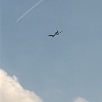 N365UP Boeing 767-300 UPS Airlines, SDF → MIA, 8 Oct 2026, photographed by PilotEagle26