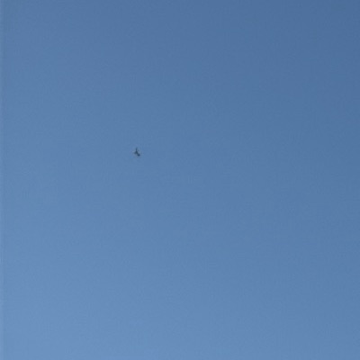 G-LCAD Embraer ERJ-190-100 British Airways, GLA → LCY, 16 Sept 2026, photographed by Bold Pilot