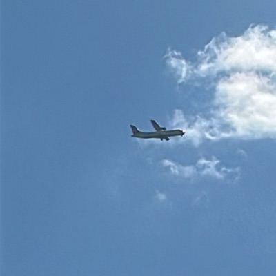 G-LMTA ATR 72-600 Logan Air, IOM → LHR, 10 Sept 2026, photographed by ItsJoshVibes