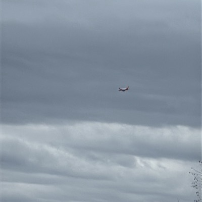 OE-INA Airbus A320 easyJet Europe, MXP → PRG, 3 Sept 2026, photographed by Oliver