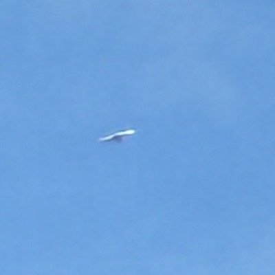 9H-VUR Boeing 737 MAX 8 Ryanair, STN → NAP, 6 Oct 2026, photographed by SALT