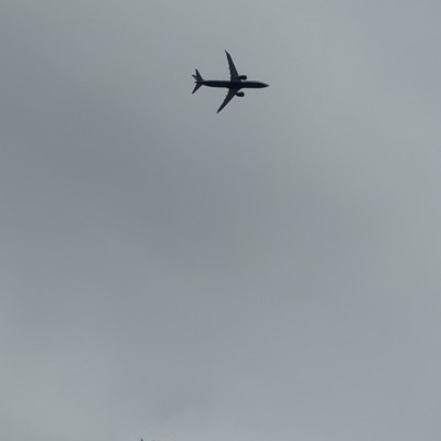 SP-RZS Boeing 777-200ER Buzz, BUD → EDI, 13 Jun 2026, photographed by PilotViper14
