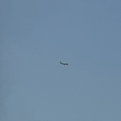 SU-GFP Airbus A320neo EgyptAir, LXR → LHR, 21 Sept 2026, photographed by TC