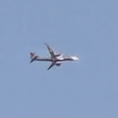 G-VNEW Boeing 787-9 Dreamliner Virgin Atlantic, ICN → LHR, 1 Oct 2026, photographed by SALT