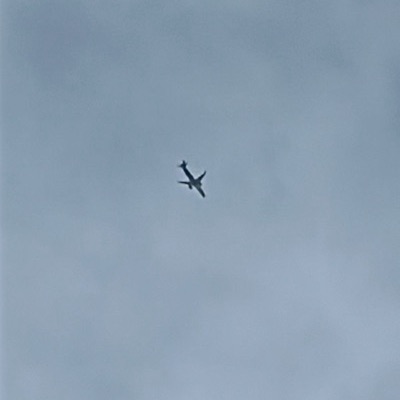 9H-WNZ Airbus A321neo WMT Airlines, LPL → OTP, 21 Jun 2026, photographed by Alpha, Bravo, Charlie