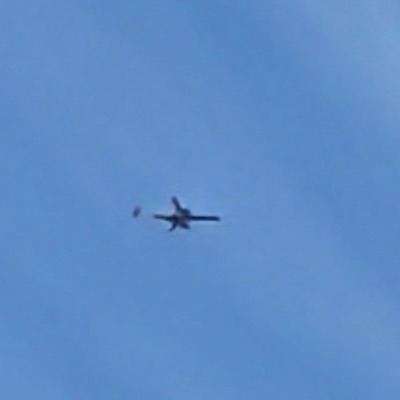 G-LCAD Embraer ERJ-190-100 British Airways, LCY → BER, 4 Oct 2026, photographed by SALT