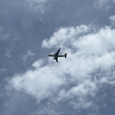 TC-NCB Airbus A320neo Pegasus Airlines, ESB → HAM, 21 Jun 2026, photographed by Schlotzmeister