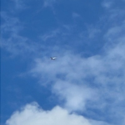 LN-RKO Airbus A330-300 Scandinavian Airlines, CPH → BOS, 11 Jun 2026, photographed by KararKaram12