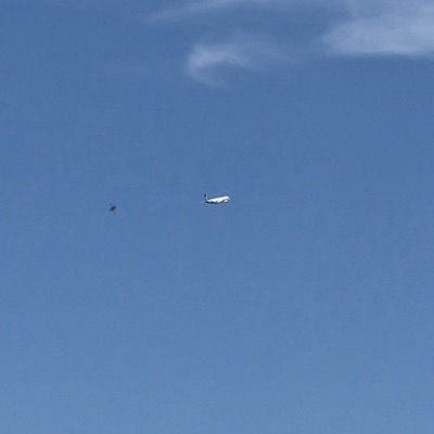 YR-ADD Airbus A320 Dirgantara Air Service, BRI → TLV, 15 Jun 2026, photographed by Aviator350